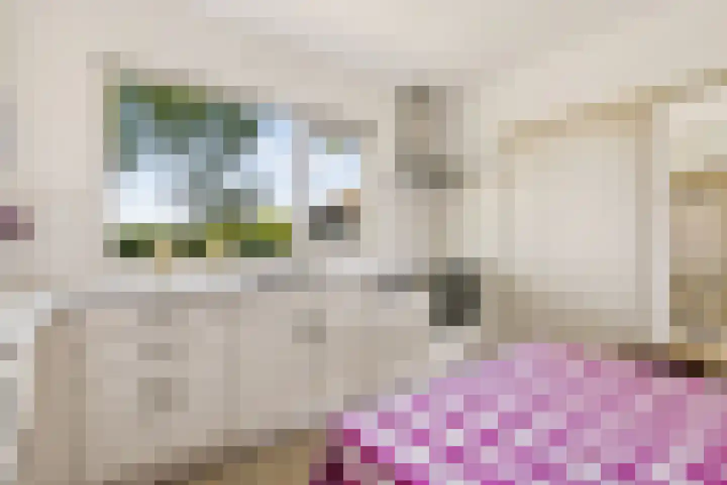 Overeind 61 Schalkwijk thumbnail 14