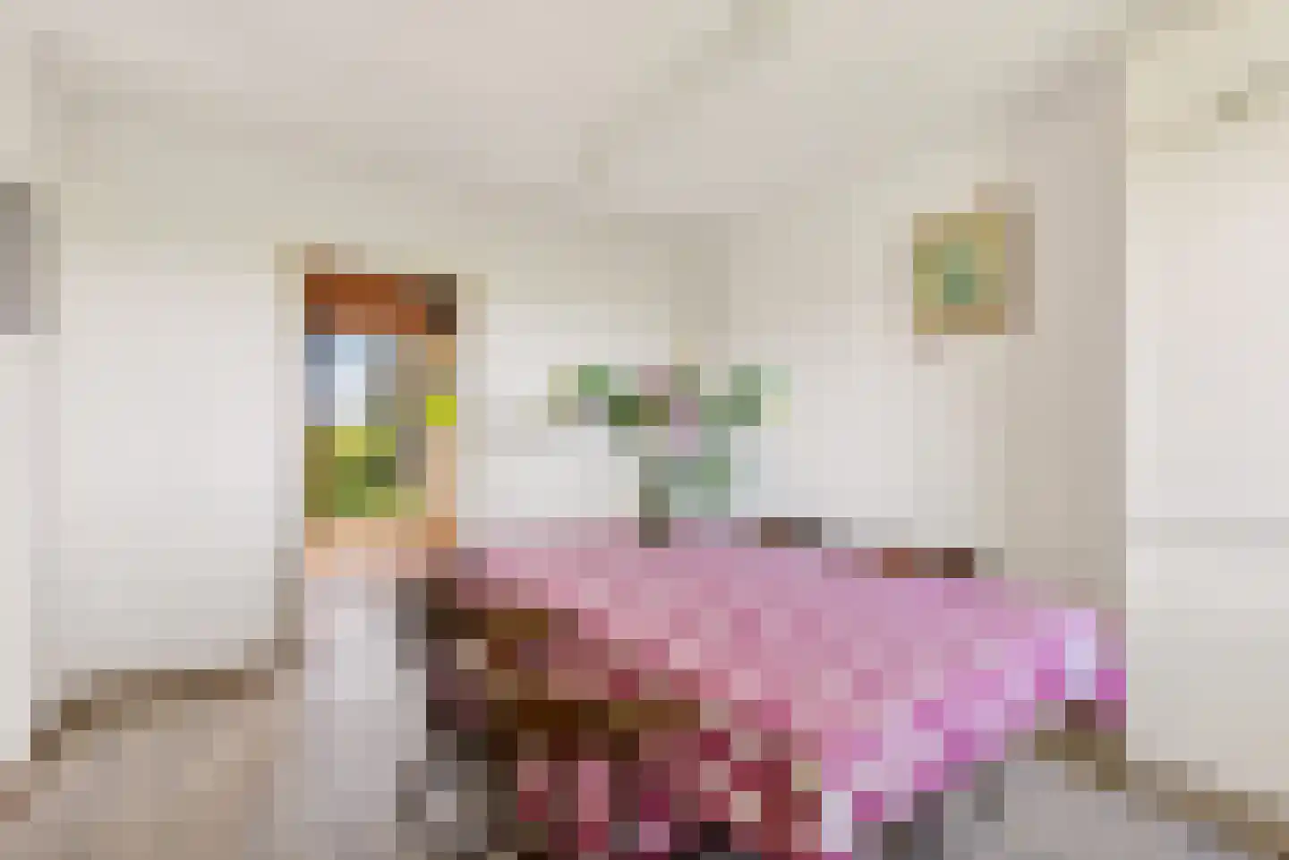 Overeind 61 Schalkwijk thumbnail 15