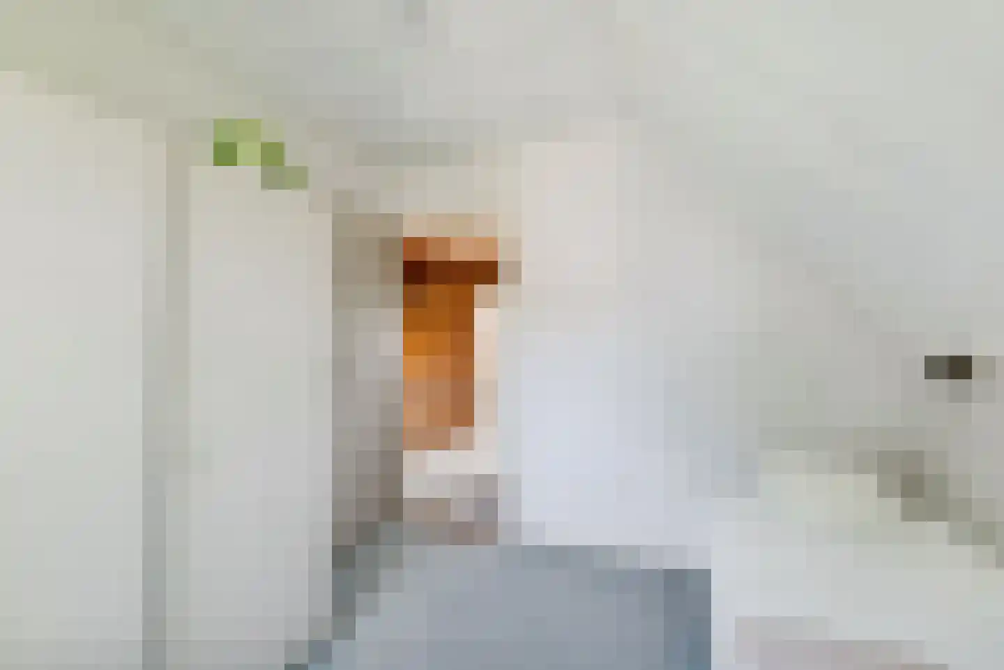 Overeind 61 Schalkwijk thumbnail 28