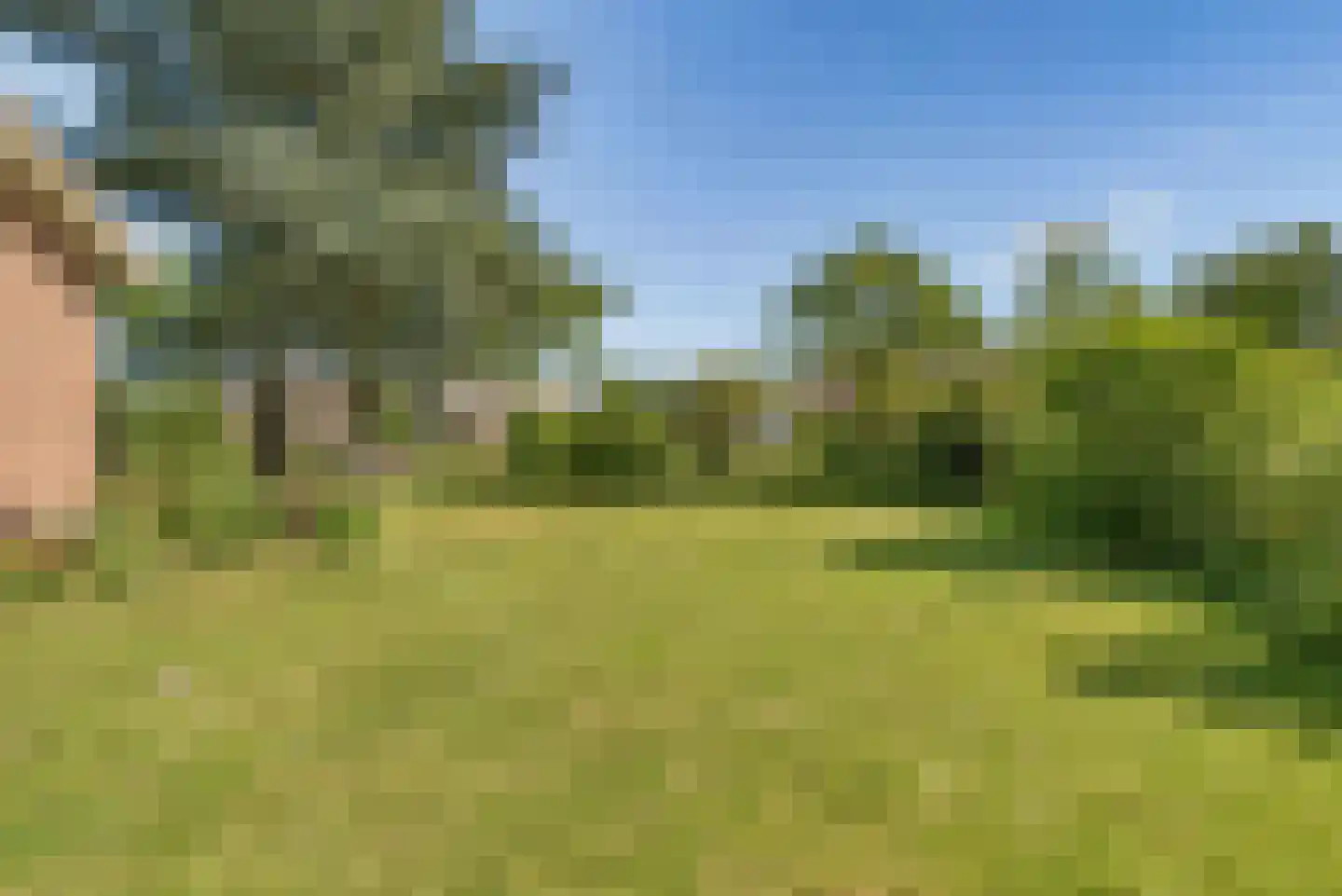 Overeind 61 Schalkwijk thumbnail 45