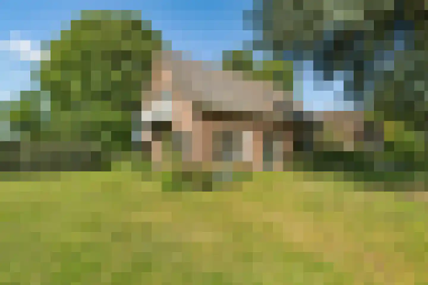 Overeind 61 Schalkwijk thumbnail 46