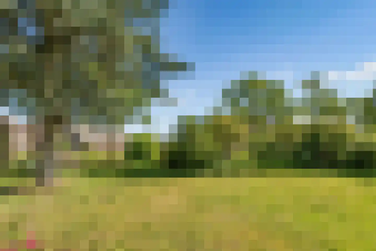 Overeind 61 Schalkwijk thumbnail 50