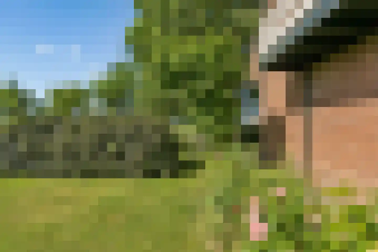 Overeind 61 Schalkwijk thumbnail 51