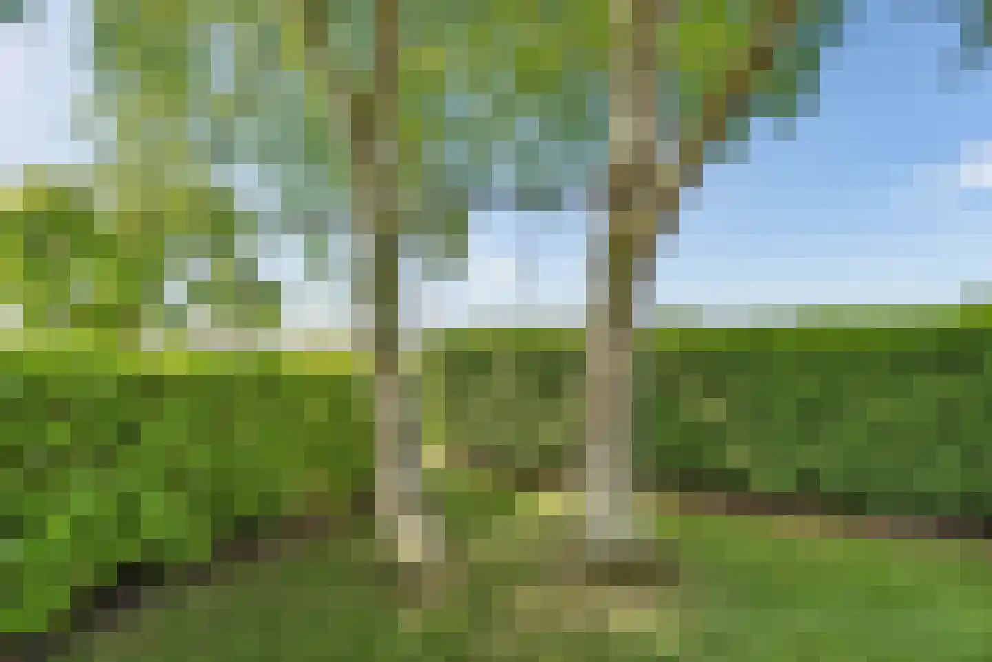 Overeind 61 Schalkwijk thumbnail 52