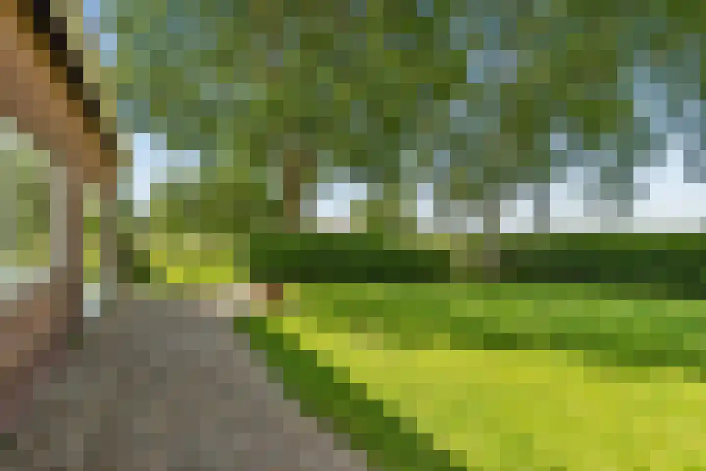Overeind 61 Schalkwijk thumbnail 54