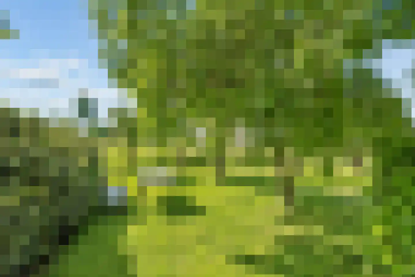 Overeind 61 Schalkwijk thumbnail 56