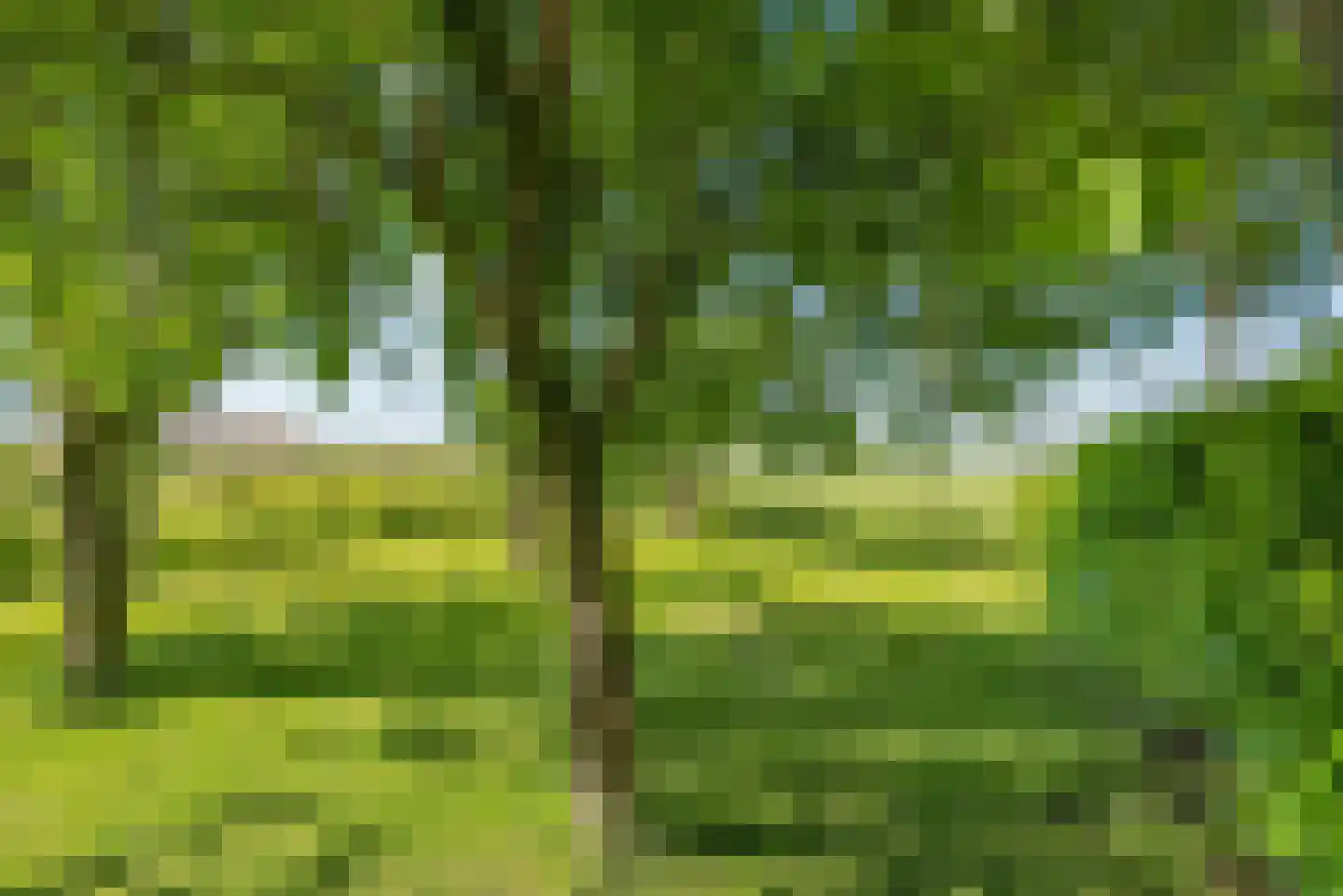 Overeind 61 Schalkwijk thumbnail 57