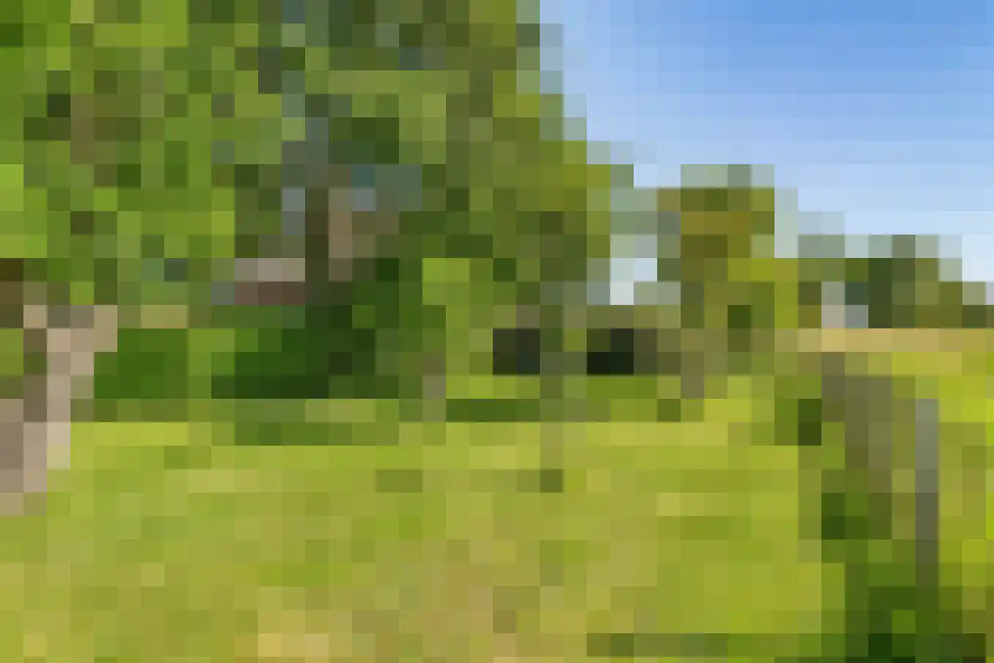 Overeind 61 Schalkwijk thumbnail 58