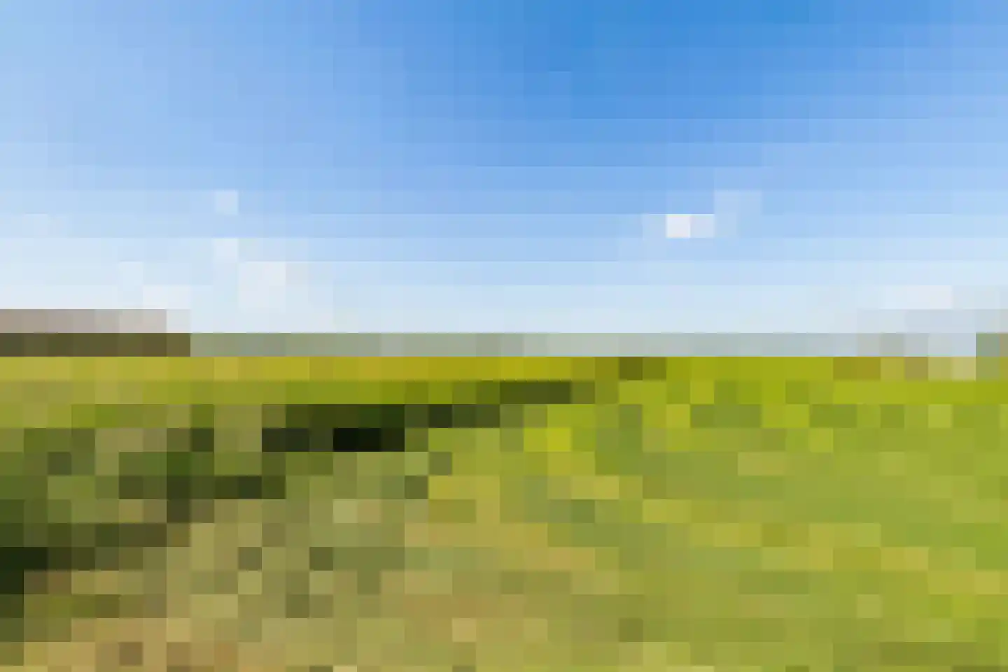 Overeind 61 Schalkwijk thumbnail 59