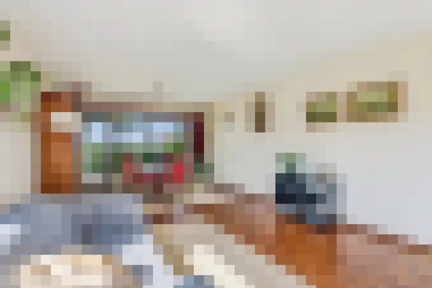 Overeind 61 Schalkwijk thumbnail 6