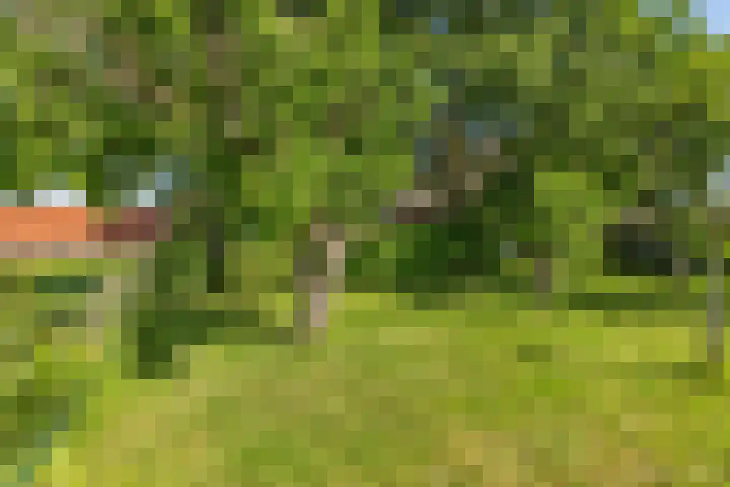 Overeind 61 Schalkwijk thumbnail 60