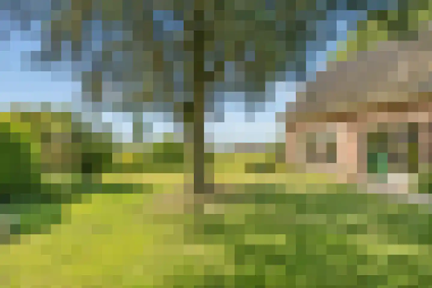 Overeind 61 Schalkwijk thumbnail 61