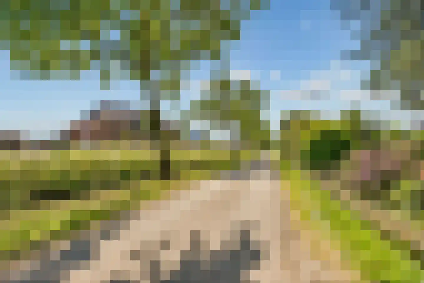 Overeind 61 Schalkwijk thumbnail 62