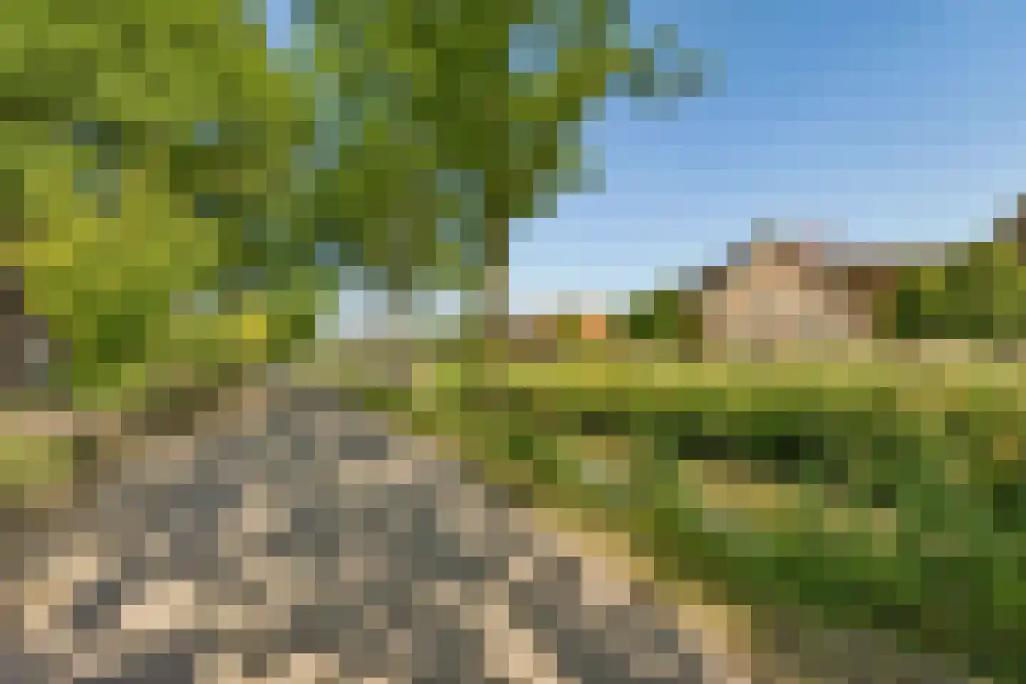 Overeind 61 Schalkwijk thumbnail 63