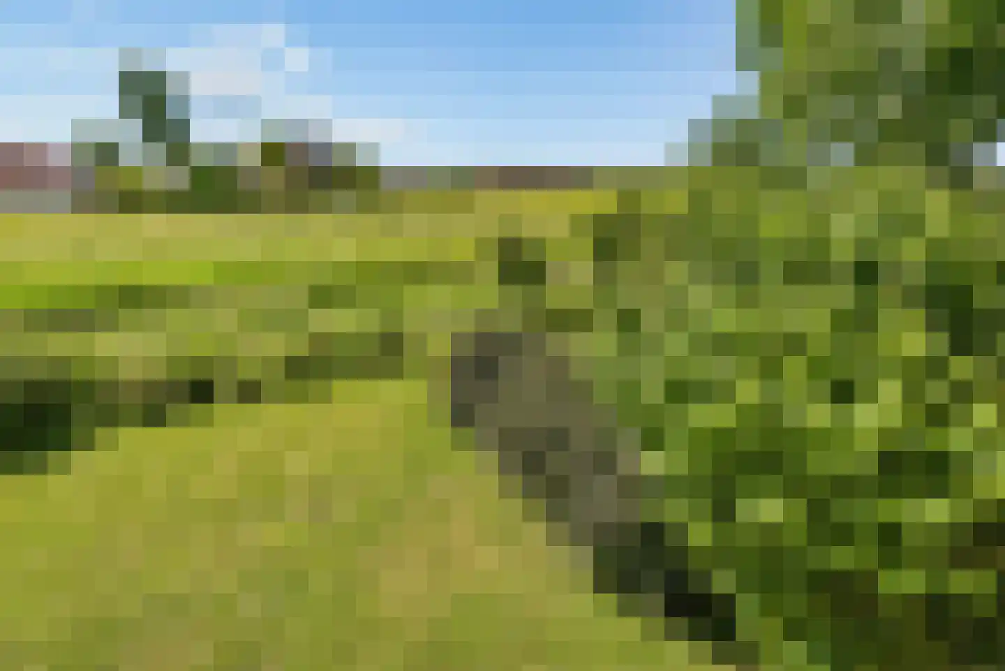 Overeind 61 Schalkwijk thumbnail 65