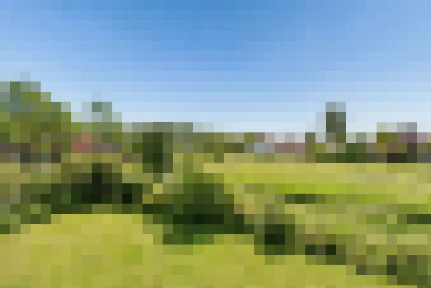 Overeind 61 Schalkwijk thumbnail 66