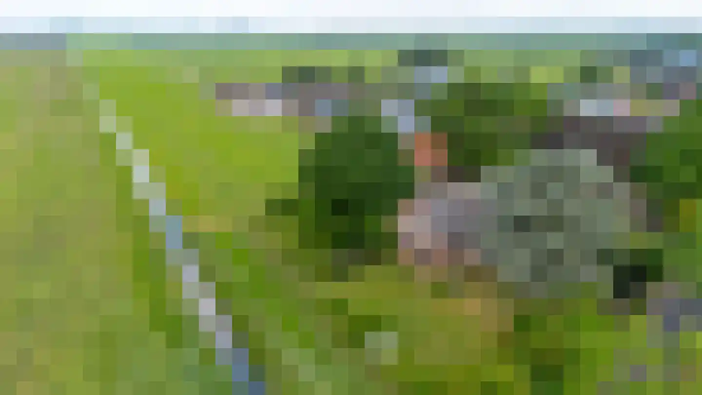 Overeind 61 Schalkwijk thumbnail 71