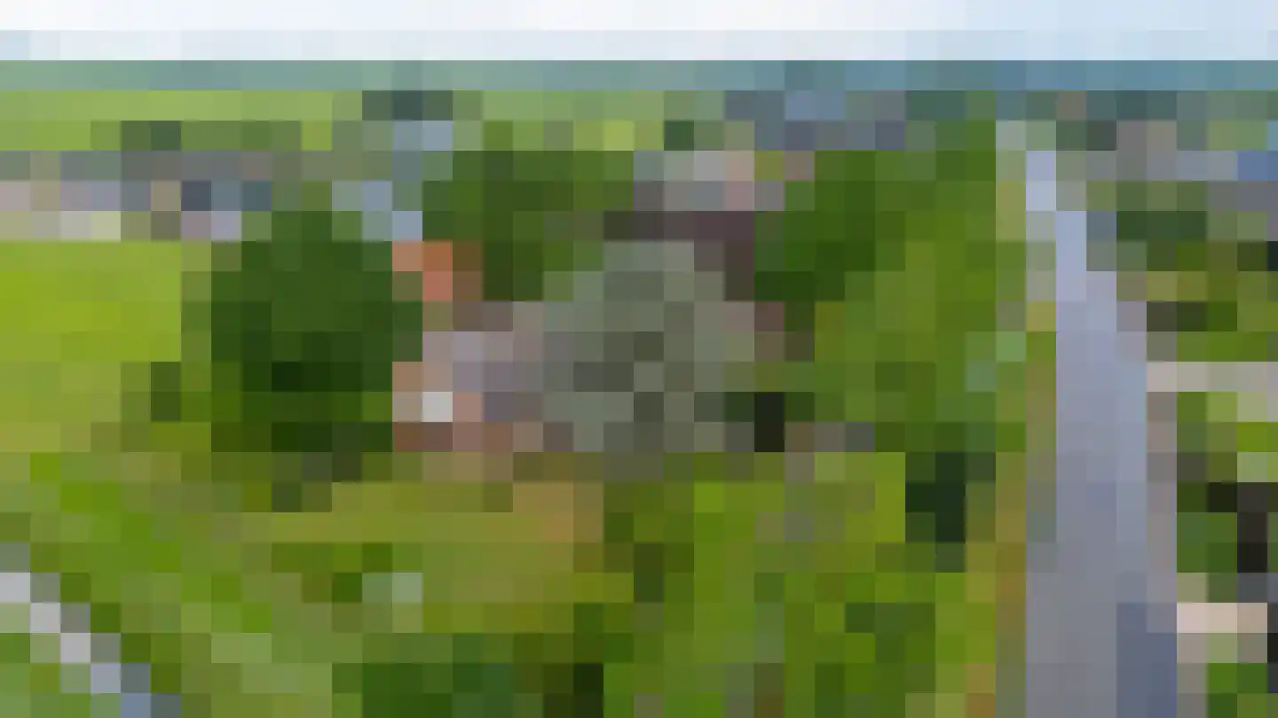Overeind 61 Schalkwijk thumbnail 73