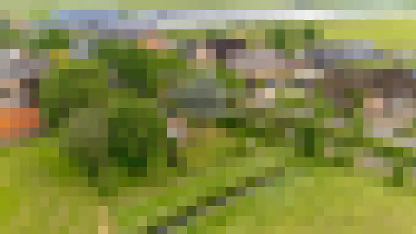 Overeind 61 Schalkwijk thumbnail 74