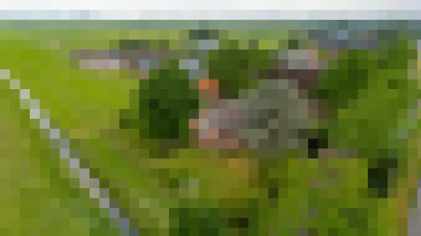 Overeind 61 Schalkwijk thumbnail 75