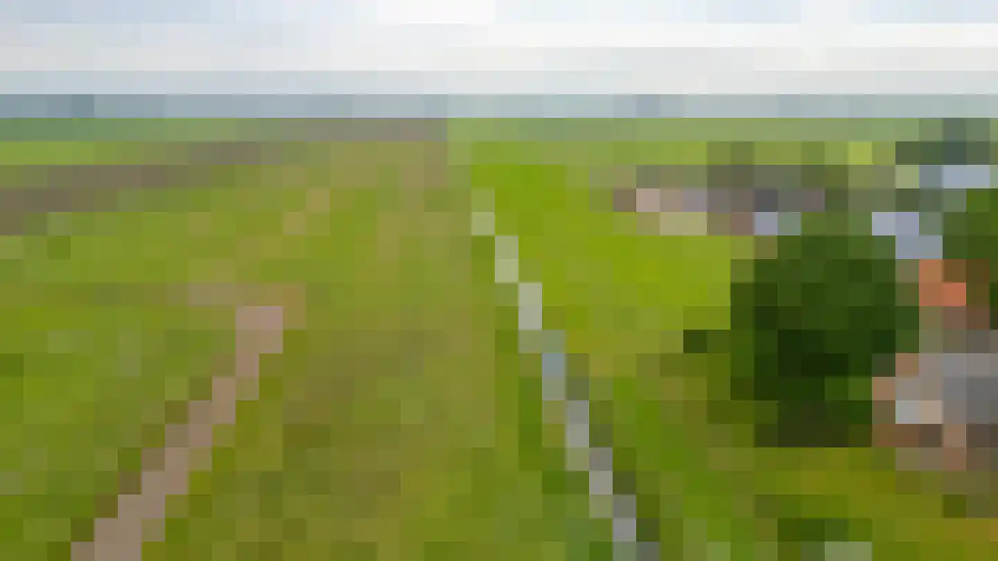 Overeind 61 Schalkwijk thumbnail 76
