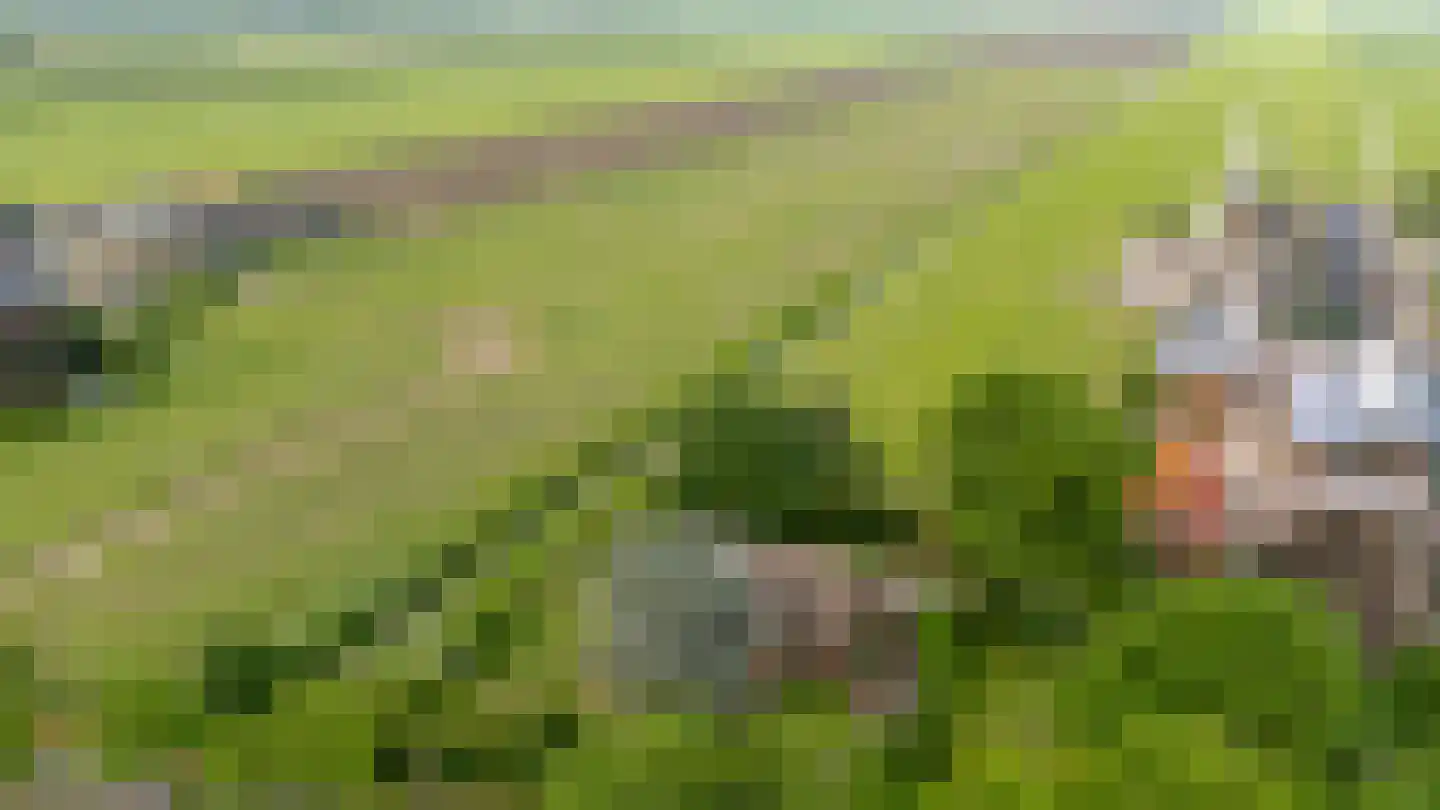 Overeind 61 Schalkwijk thumbnail 78