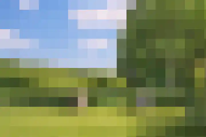 Overeindseweg 34 A Nieuwegein thumbnail 23