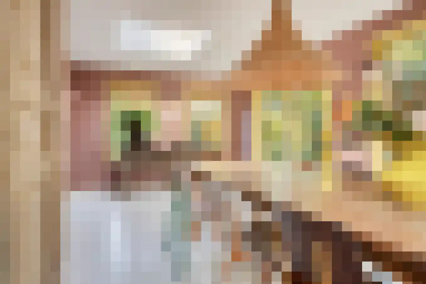 Overflakkee 43 Emmeloord thumbnail 10