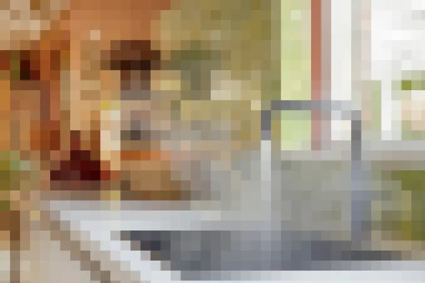 Overflakkee 43 Emmeloord thumbnail 12