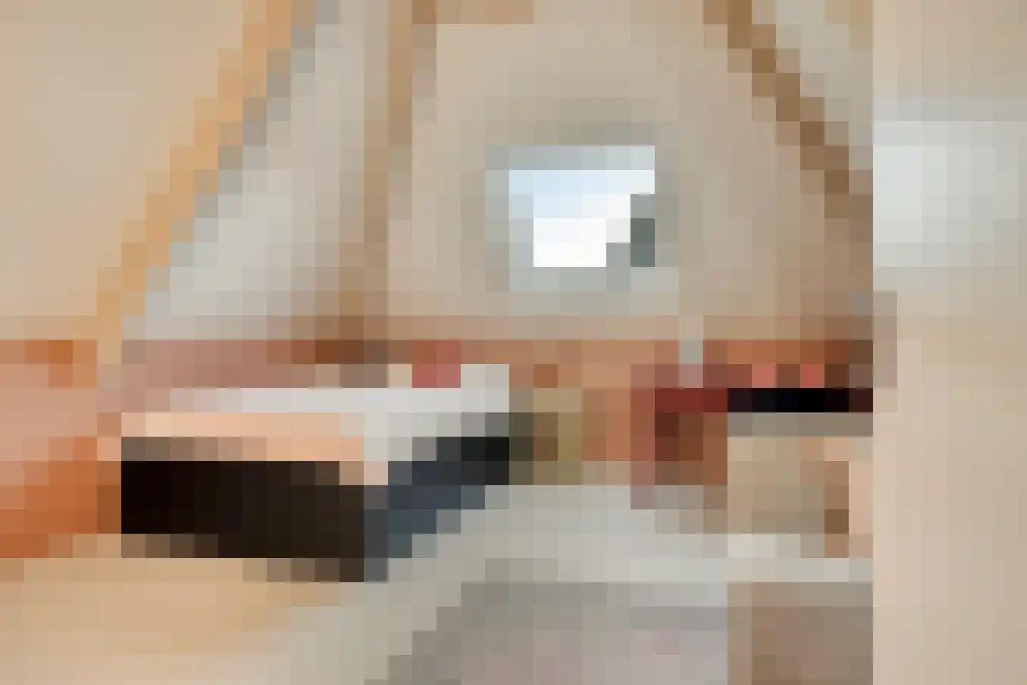 Overflakkee 43 Emmeloord thumbnail 25