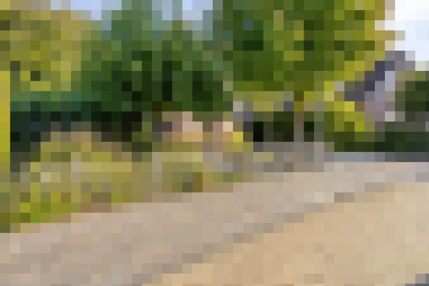 Overflakkee 43 Emmeloord thumbnail 27