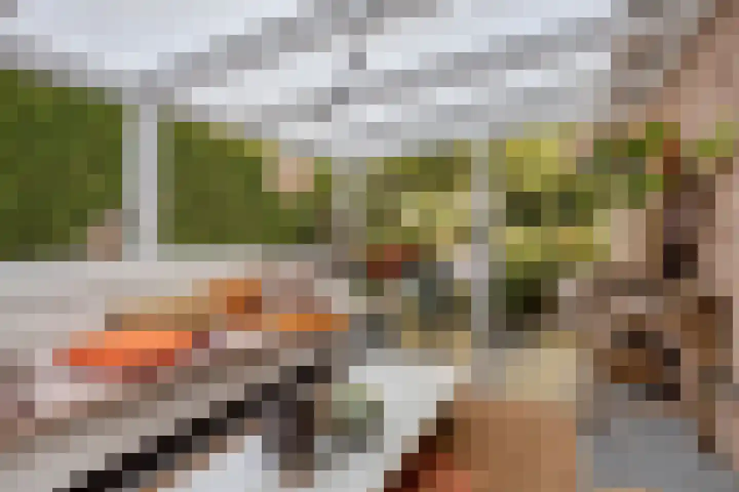Overflakkee 43 Emmeloord thumbnail 28