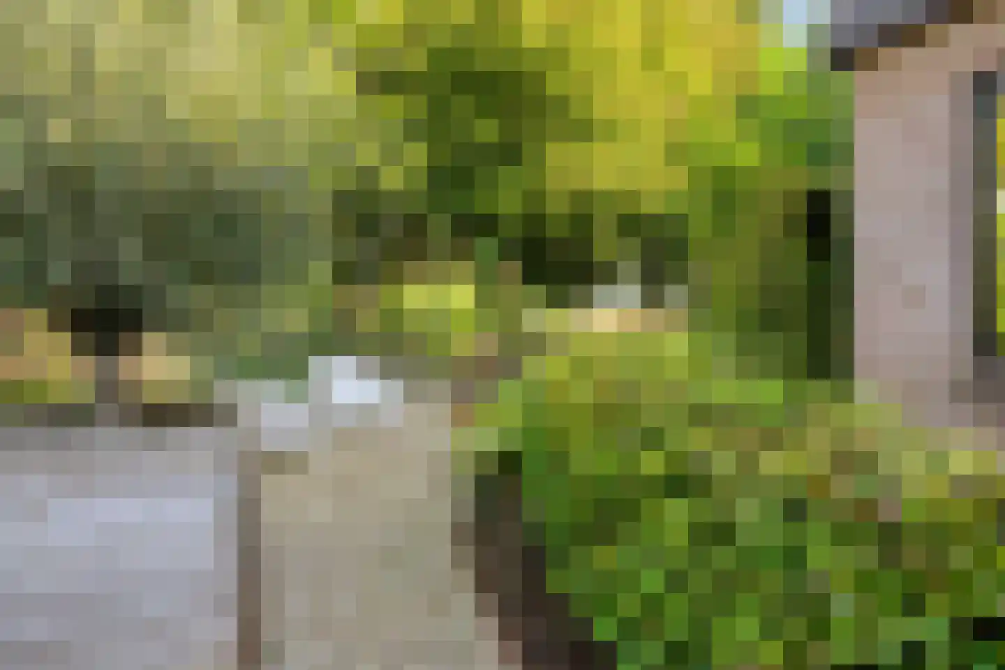 Overflakkee 43 Emmeloord thumbnail 30