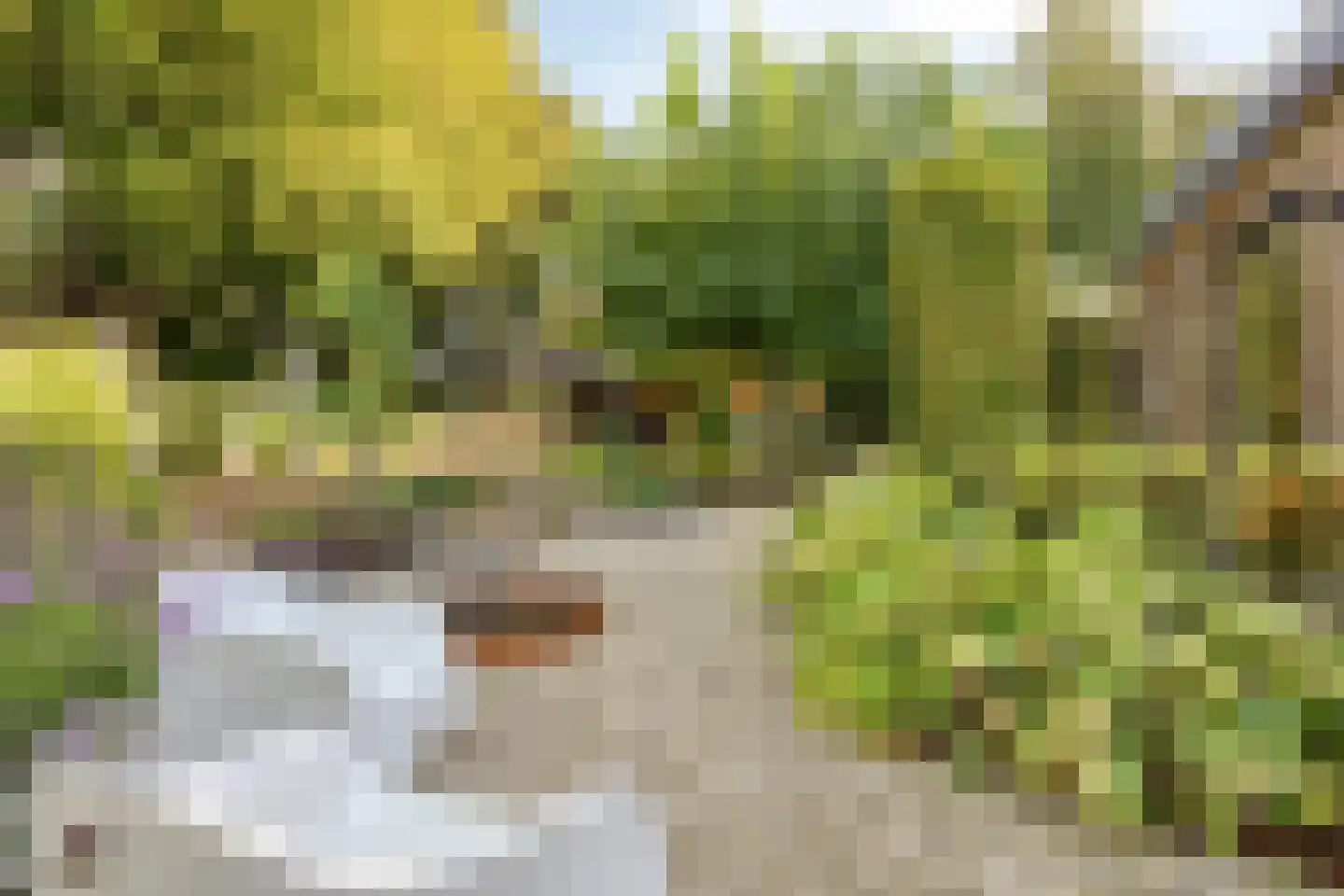 Overflakkee 43 Emmeloord thumbnail 31