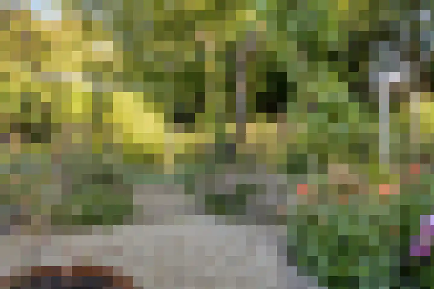 Overflakkee 43 Emmeloord thumbnail 32