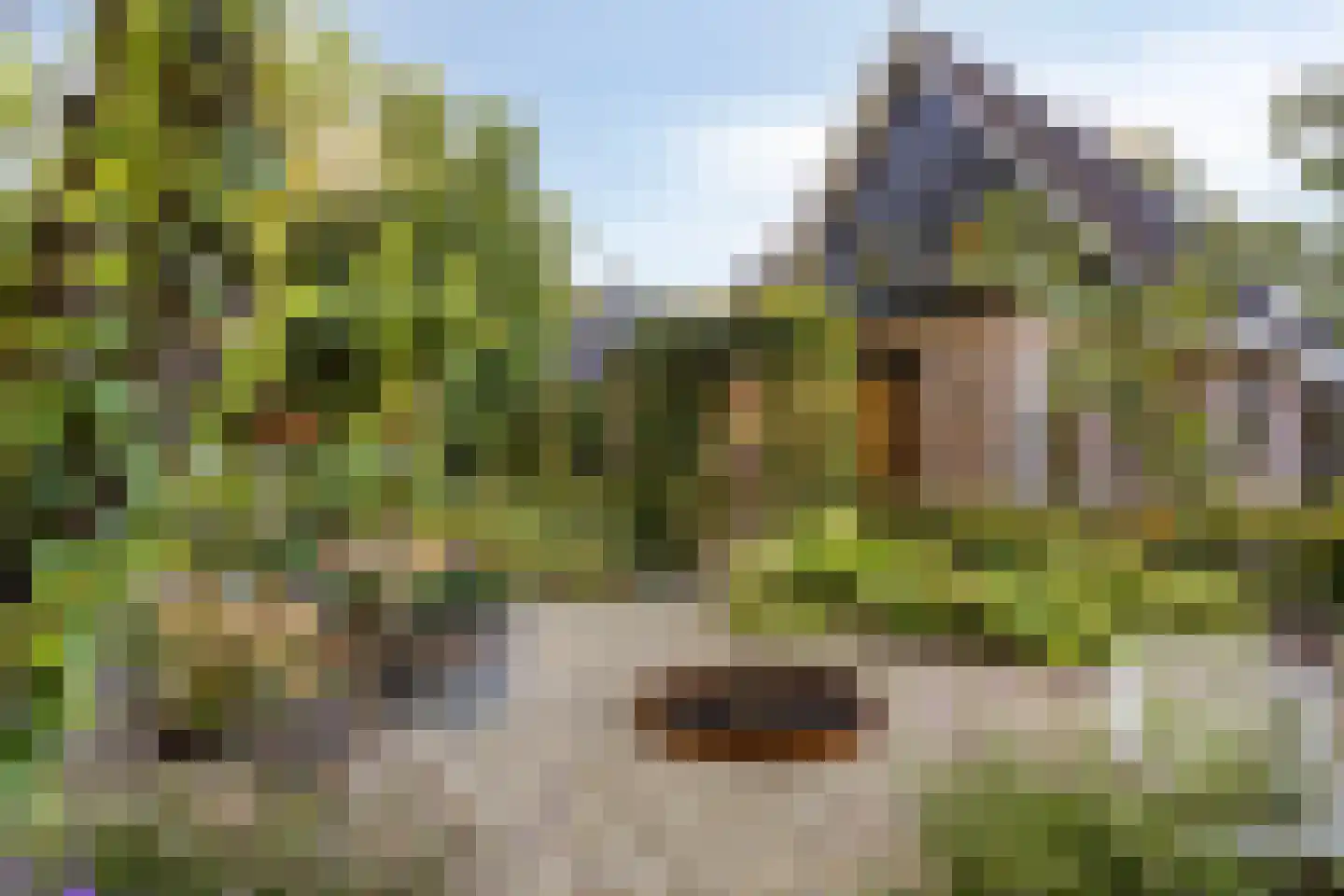 Overflakkee 43 Emmeloord thumbnail 33