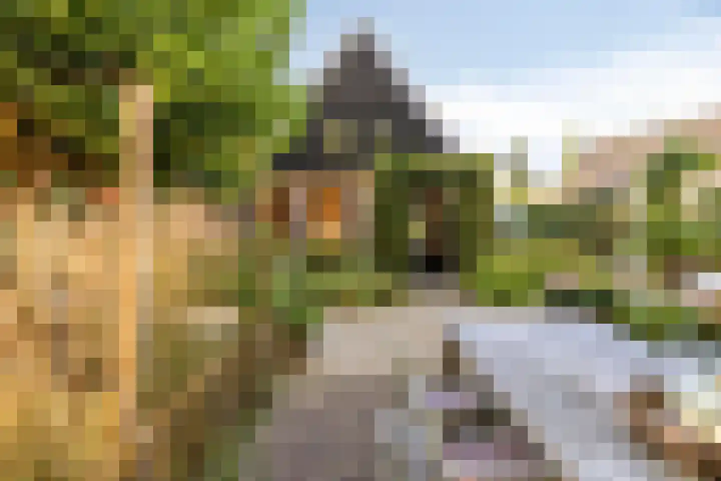 Overflakkee 43 Emmeloord thumbnail 34