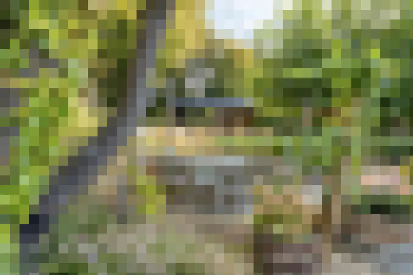 Overflakkee 43 Emmeloord thumbnail 35