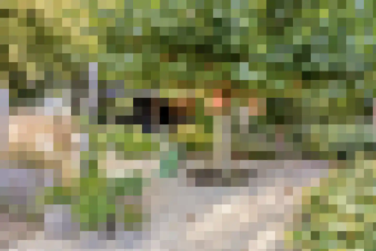 Overflakkee 43 Emmeloord thumbnail 36