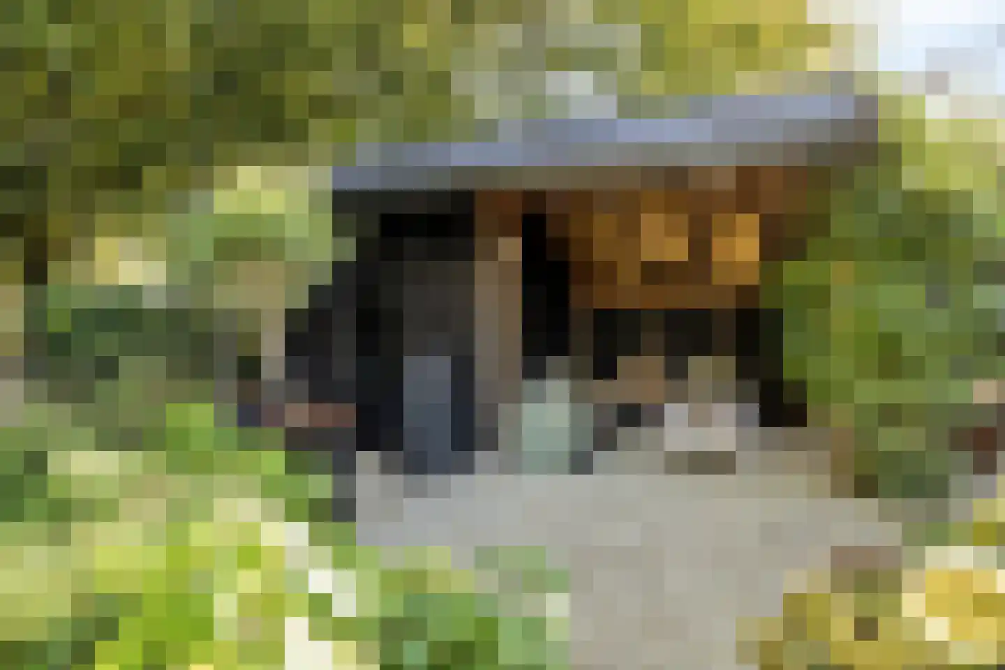 Overflakkee 43 Emmeloord thumbnail 37