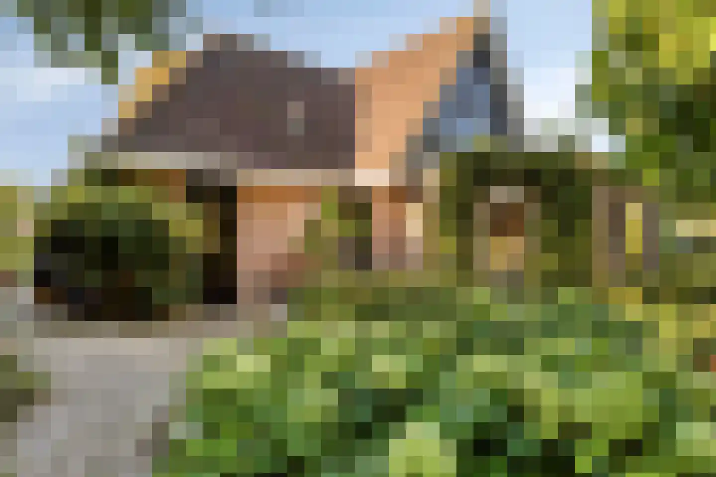 Overflakkee 43 Emmeloord thumbnail 38