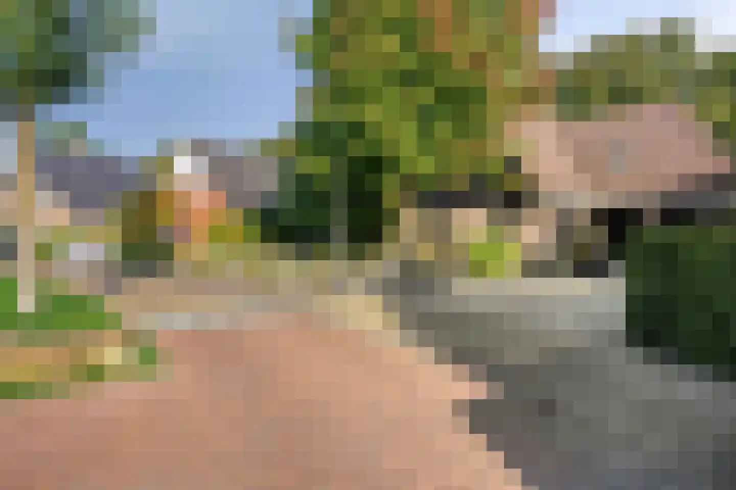 Overflakkee 43 Emmeloord thumbnail 39