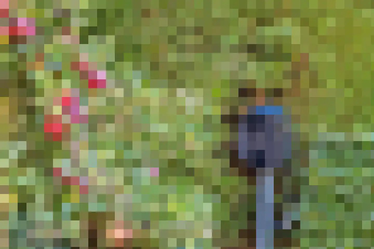 Overflakkee 43 Emmeloord thumbnail 41