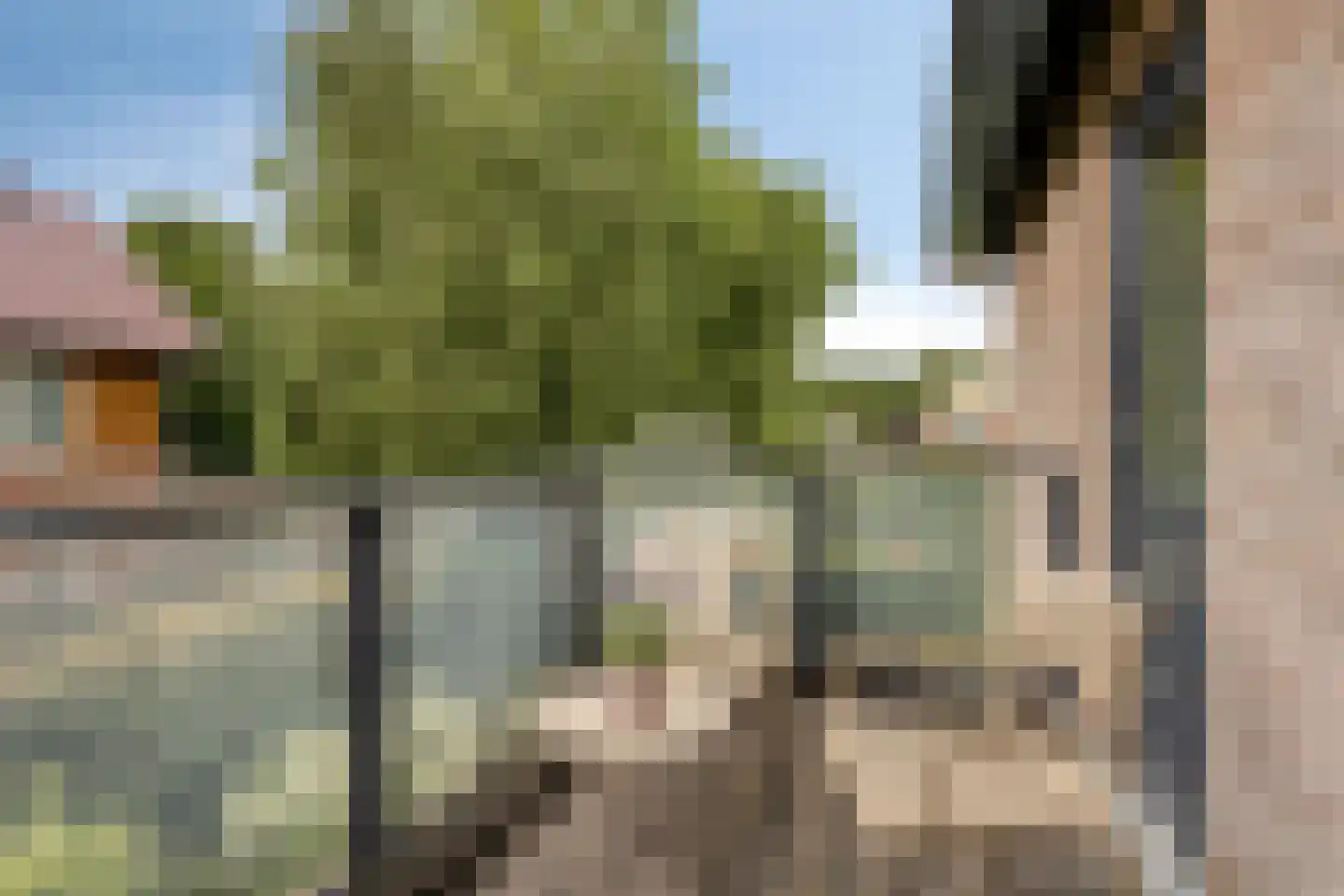 Overflakkee 58 Emmeloord thumbnail 19
