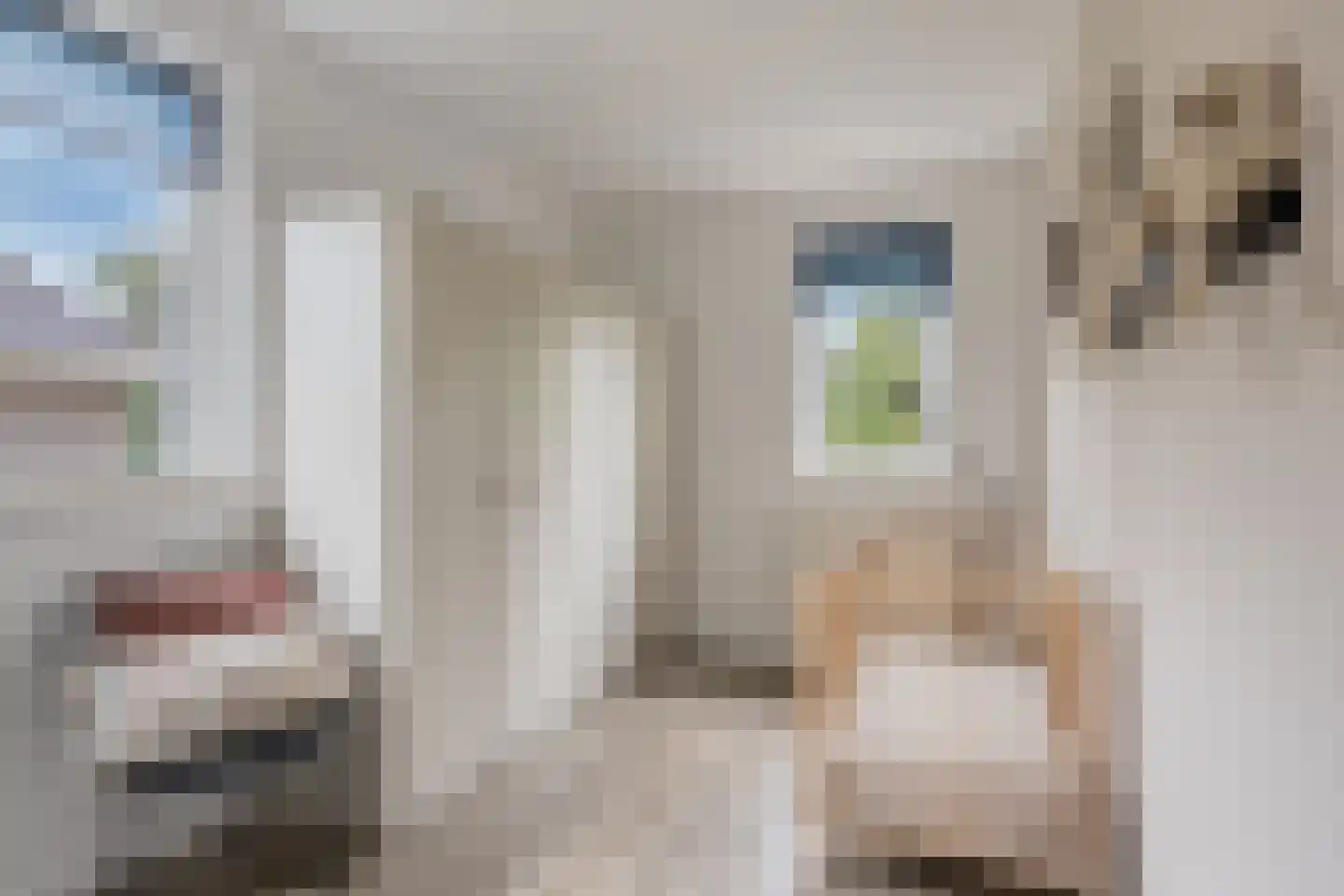 Overflakkee 58 Emmeloord thumbnail 24