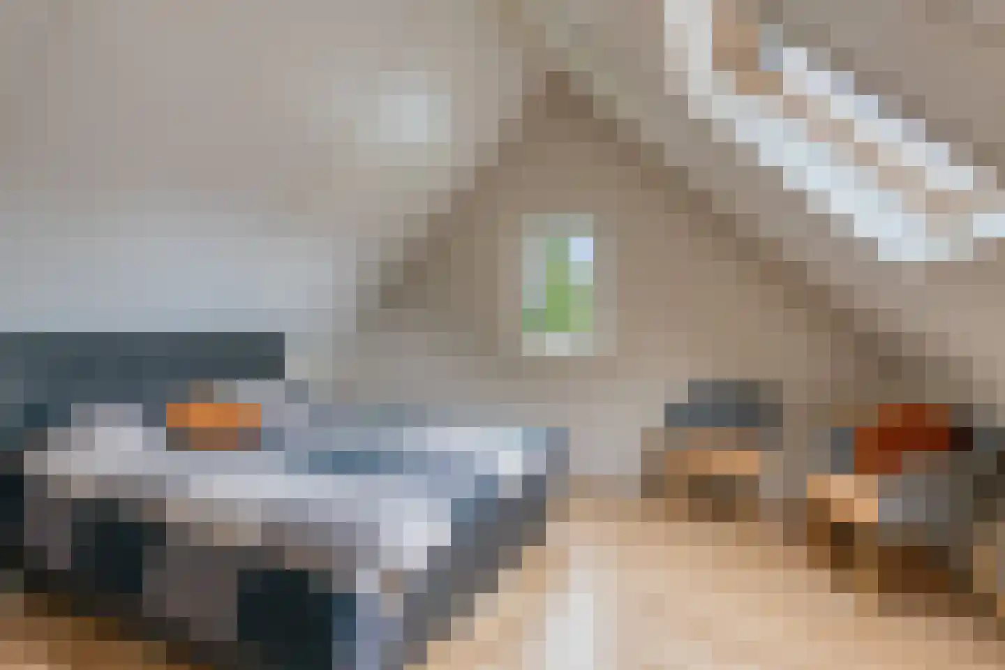 Overflakkee 58 Emmeloord thumbnail 27