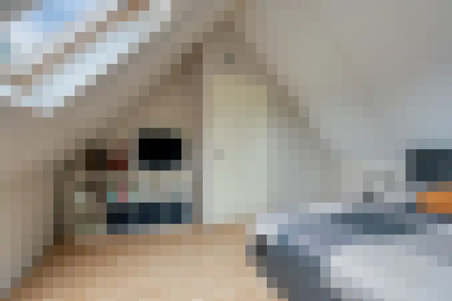 Overflakkee 58 Emmeloord thumbnail 28