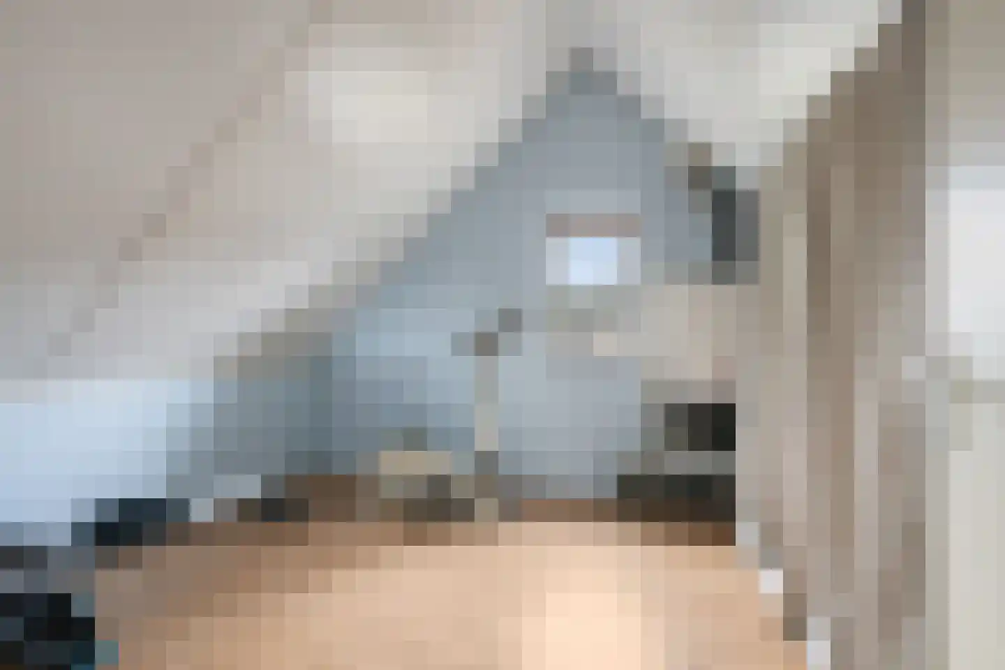 Overflakkee 58 Emmeloord thumbnail 29