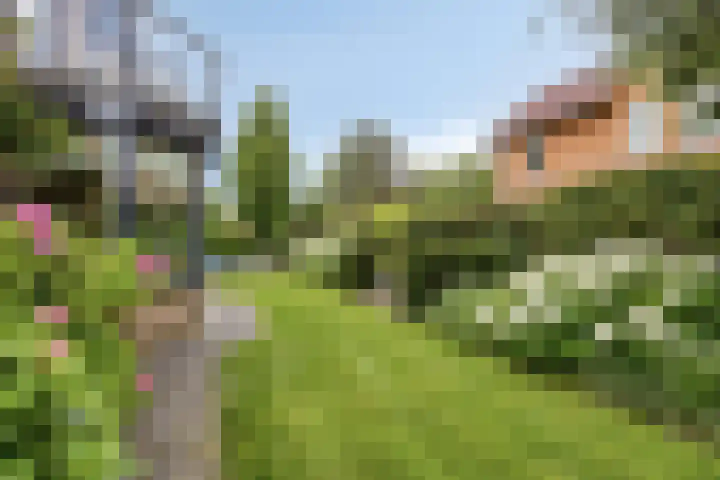 Overflakkee 58 Emmeloord thumbnail 30