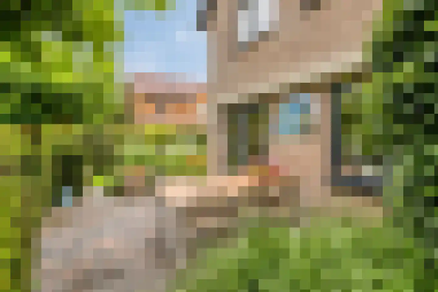 Overflakkee 58 Emmeloord thumbnail 38